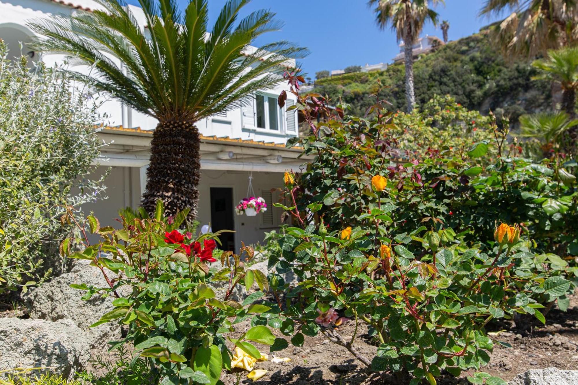 Villa Al Mare Famiglia Calise Ischia Exterior photo